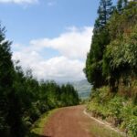 Full-Day 4x4 Nordeste Azores Tour from Ponta Delgada - Who Will Love This Tour?
