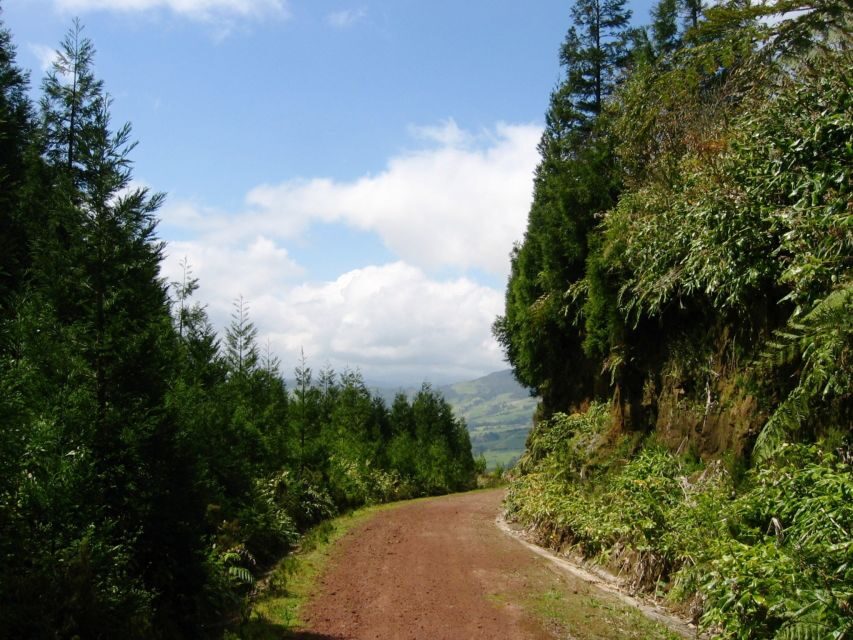 Full-Day 4x4 Nordeste Azores Tour from Ponta Delgada - Who Will Love This Tour?