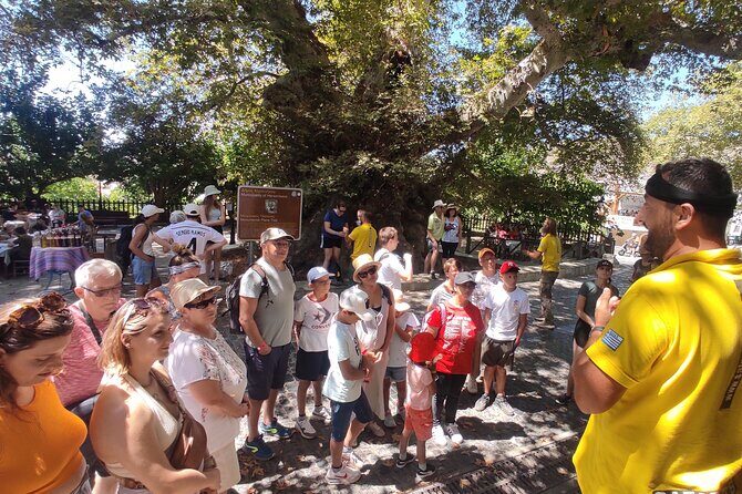 Full Day 4x4 Self-Drive Safari Tour in Crete with BBQ Lunch - The Practical Aspects