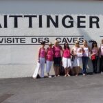 Full Day All-inclusive Tour in Champagne from Paris in a Minivan - What Sets This Tour Apart?