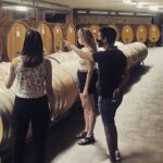 Full day Barolo&Barbaresco Wine Tour from Torino with a local winemaker - Value for Money & Who Should Book