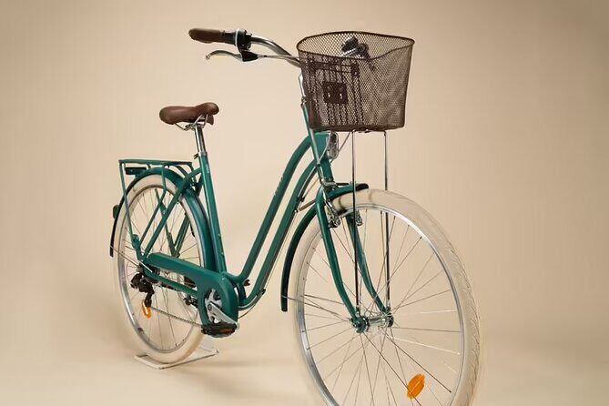 Full day Bike Rent in Valencia - Authentic Insights from Past Riders