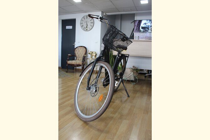 Full Day Bike Rental in Malaga - Authentic Feedback from Reviewers