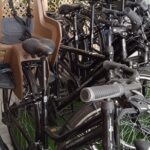 Full Day Bike Rental in Seville - Who Will Love This Experience?