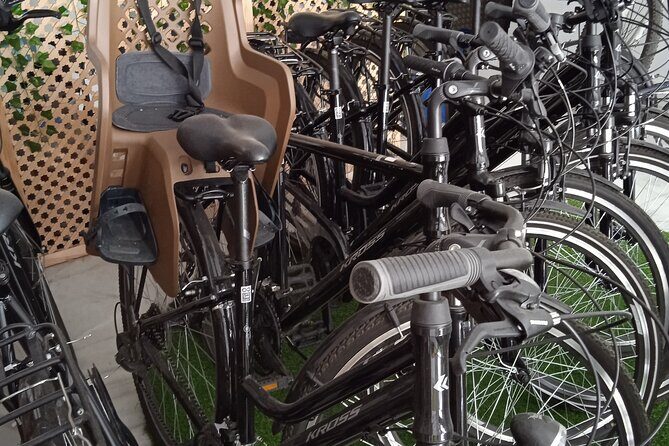 Full Day Bike Rental in Seville - Who Will Love This Experience?