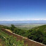 Full Day Bodbe Sighnaghi and Telavi Wine Tasting Tour - What Makes This Tour Stand Out?