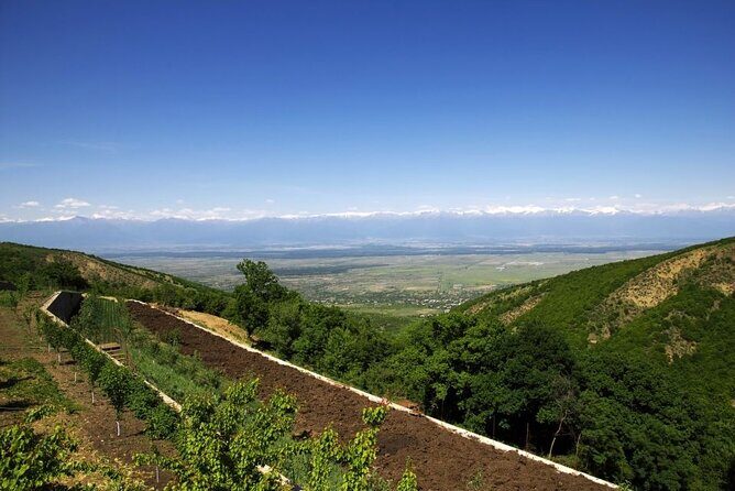 Full Day Bodbe Sighnaghi and Telavi Wine Tasting Tour - What Makes This Tour Stand Out?