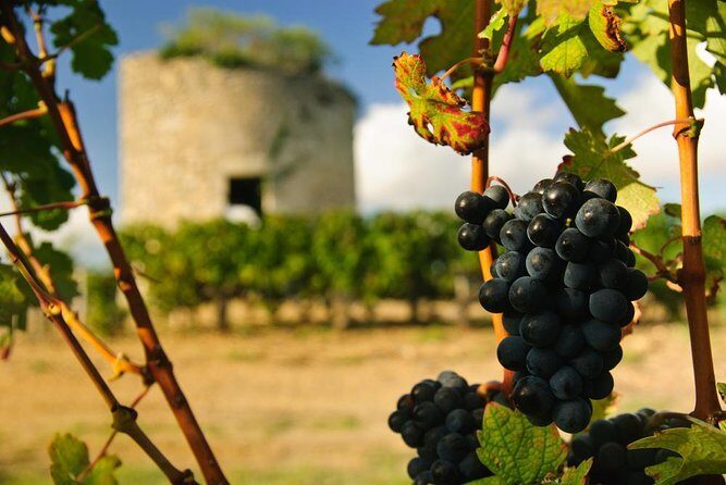 Full day Bordeaux Historic Gourmet Walking and Médoc Tour - Who Would Love This Tour?