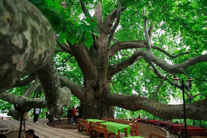 Full Day Bursa Tour from Istanbul(with cable car) - Practical Details and What to Expect