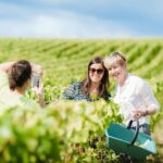 Full Day Champagne Pommery Small Group Tour - How the Reviews Reflect the Experience