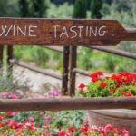 Full-Day Chianti Tour by Vespa Scooter from San Gimignano - In-Depth Itinerary Breakdown