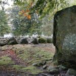 Full-Day CULLODEN, LOCH NESS + MORE from Inverness [Private] - Transportation and Comfort