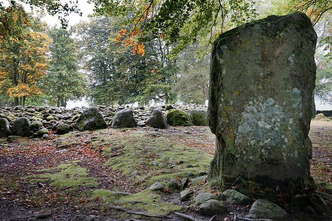 Full-Day CULLODEN, LOCH NESS + MORE from Inverness [Private] - Transportation and Comfort