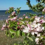 Full-Day customized Tour in Estonia. NB! Min 2 Persons - The Value of the Experience