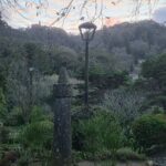 Full day exploring Sintra, Azenhas do Mar and Cabo da Roca - Transportation and Group Dynamics