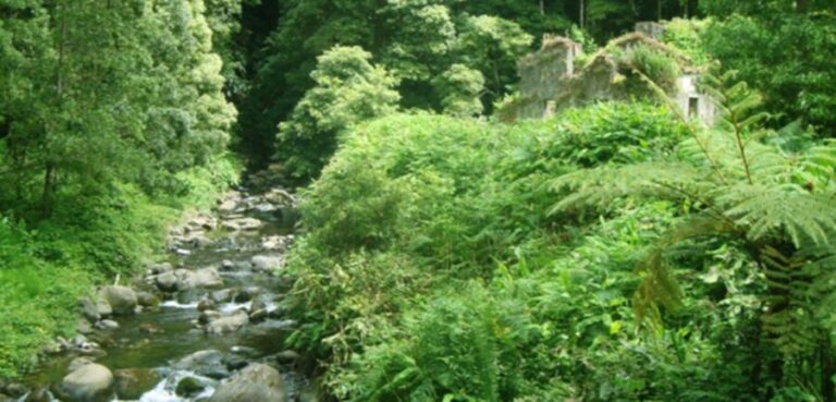 Full-Day Faial da Terra + Nordeste from Ponta Delgada - Practical Details and Value