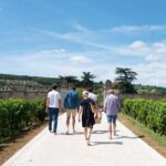 Full day from Beaune: the most of Burgundy, with lunch - The Experience in Practice: Authenticity and Expert Guidance