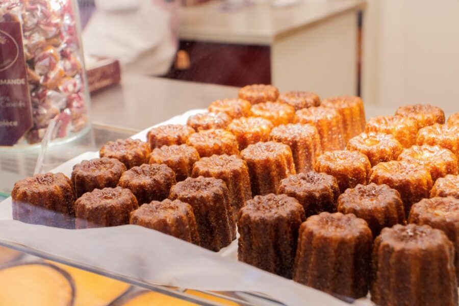 Full-Day gourmet tour & Medoc visit & tasting - The Practicalities: What You Need to Know