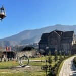 Full Day Guided Tour from Yerevan to Tbilisi with Homemade Lunch - Transportation and Group Size