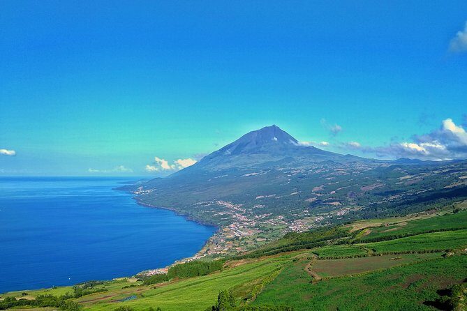 Full-Day Guided Tour in Pico Island - Discovering Pico Island: What to Expect from the Tour