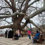 Full Day Guided Tour to Bursa and Uludag - Real Experiences and Insights from Travelers