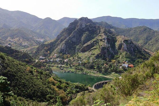 Full Day Guided Tour to La Gomera from Tenerife - The Sum Up