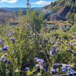 Full-day Hiking at Ruta the Aqua across Pena Cortada - Who Should Consider This Tour?