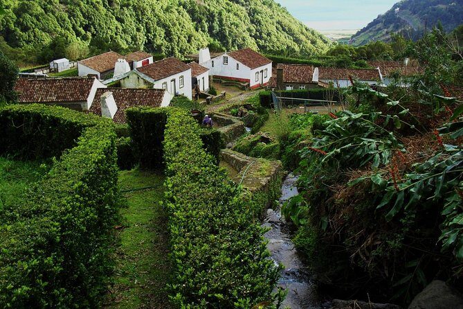 Full Day Hiking Faial da Terra (Min. 2 persons) - Why This Tour Offers Great Value