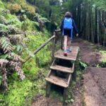 Full Day Hiking Trail Sete Cidades and Ferraria - Practical Details and Tips