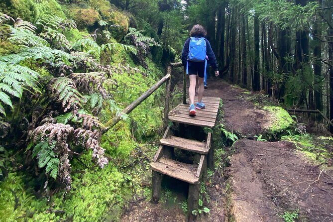 Full Day Hiking Trail Sete Cidades and Ferraria - Practical Details and Tips
