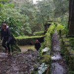 Full Day Hiking Trail Waterfalls- in Lomba de São Pedro - Azores - Who Should Book This Tour?
