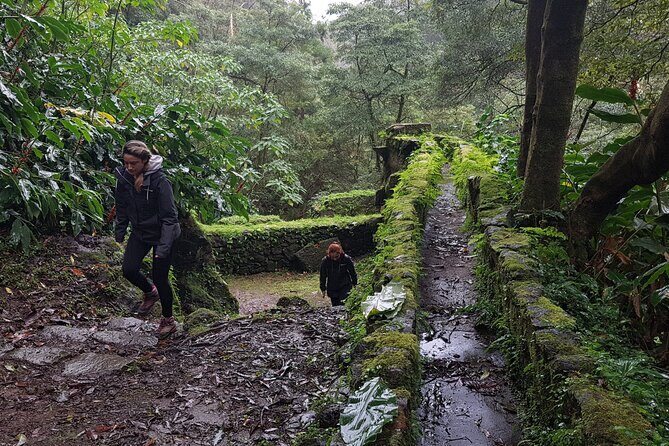Full Day Hiking Trail Waterfalls- in Lomba de São Pedro - Azores - Who Should Book This Tour?