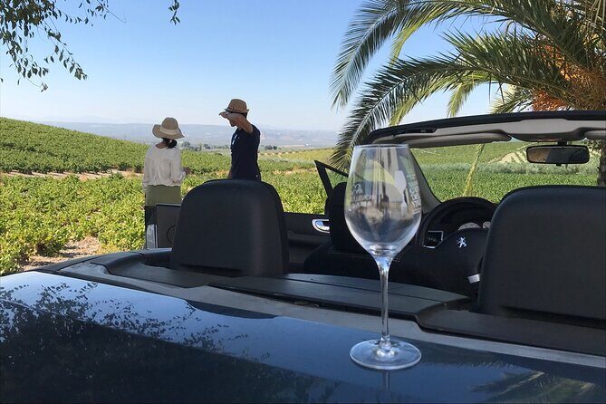 Full day in Cordoba between Vineyards and Olive Trees with a Convertible Car - An In-Depth Look at the Córdoba Vineyards and Olive Trees Tour