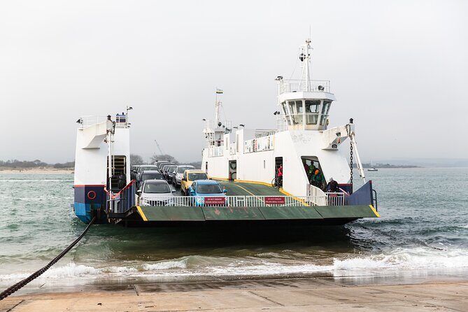 Full Day Jurassic Coast Mini-Coach Tour from Bournemouth - The Transport and Group Dynamics