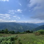 Full Day Mountine Tours from Batumi - Why This Tour Offers Great Value