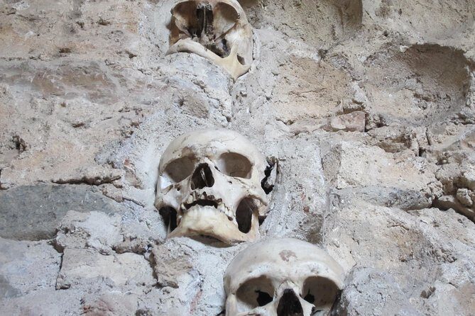 Full-day Nis and Serbian History Tour from Sofia - What Makes This Tour Stand Out?