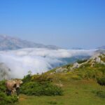 Full Day Private 4WD Tour from Santander to Picos de Europa. Excellent meals. - Why This Tour Works