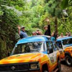 Full Day Private 4x4 Tour in West Madeira with Local Guide - Practical Considerations