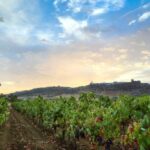 Full-Day Private Cultural Tour in Evora and Monsaraz - What We Loved About This Tour