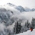 Full Day Private Guided Scenic Train Tour to the Swiss Alps - The Itinerary in Detail