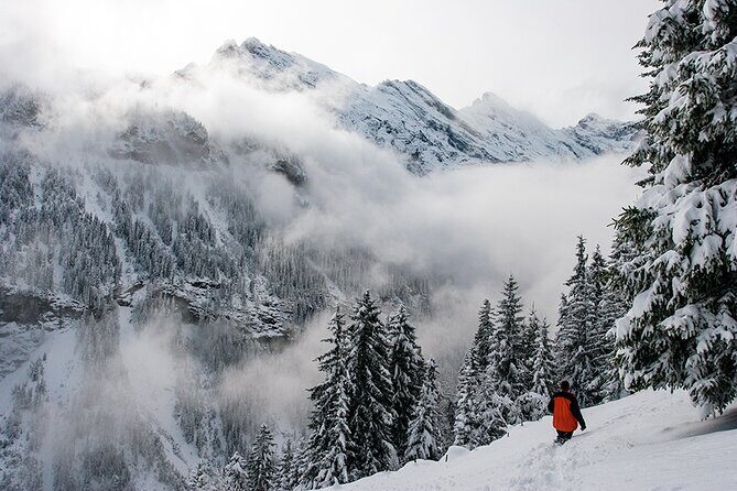 Full Day Private Guided Scenic Train Tour to the Swiss Alps - The Itinerary in Detail