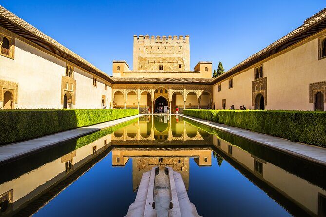 Full-Day Private Guided Tour in Alhambra from Costa del Sol - What Travelers Say About This Tour