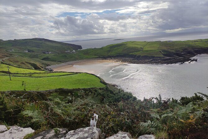 Full Day Private Luxury Tour in Inishowen Donegal - Who Should Consider This Tour?