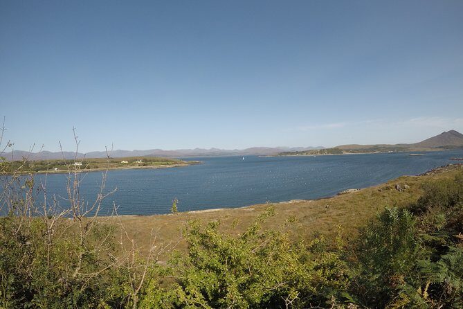 Full-day Private Mizen Head tour from Killarney - What to Expect from the Tour: An In-depth Look