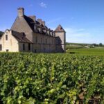 Full-Day Private Tour, 6 Premiers & Grands Crus, The Best of Burgundy - The Lunch Experience: Authentic French Cuisine