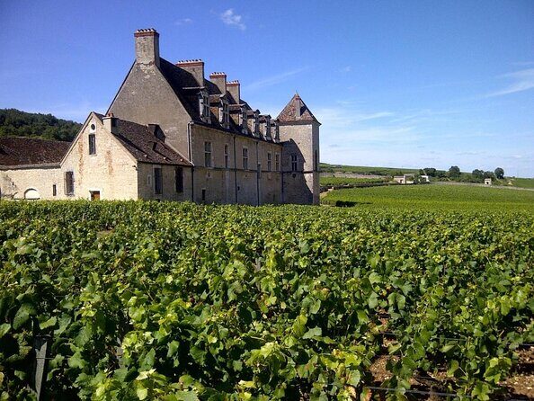 Full-Day Private Tour, 6 Premiers & Grands Crus, The Best of Burgundy - The Lunch Experience: Authentic French Cuisine