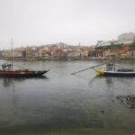 Full Day Private Tour from Lisbon to Porto - Practical Details and Tips