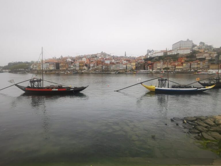 Full Day Private Tour from Lisbon to Porto - Practical Details and Tips