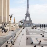 Full-Day Private Tour in Paris with Driver - Why This Tour Works for Travelers