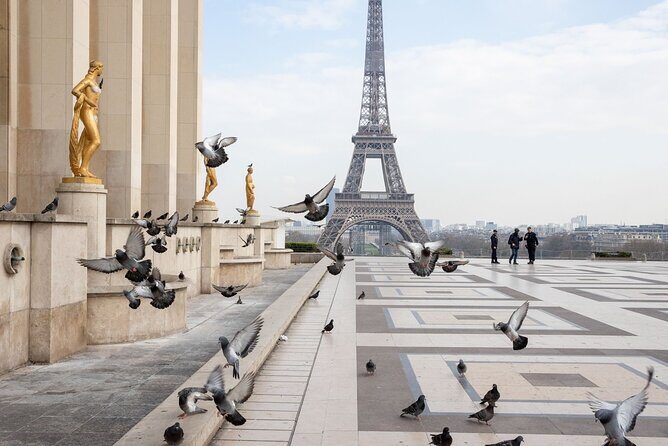 Full-Day Private Tour in Paris with Driver - Why This Tour Works for Travelers